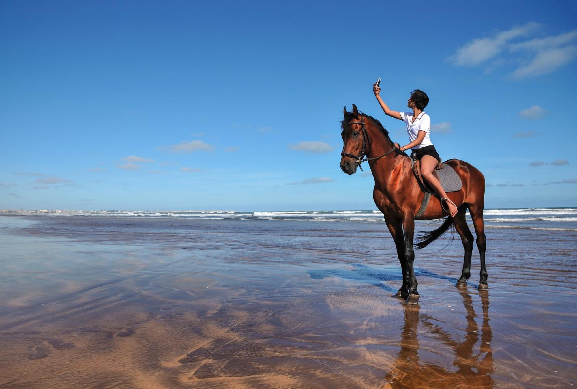 Pullman Mazagan Royal Golf & Spa El Jadida Buitenkant foto A horse on the beach